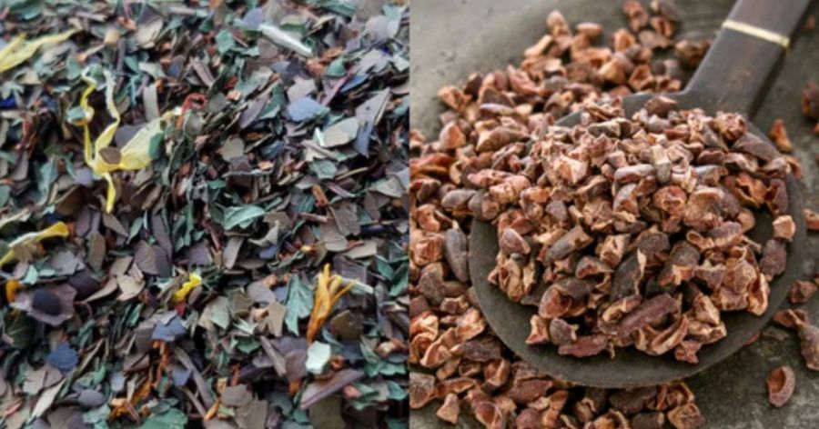 The Ultimate Guide to Cacao Nibs Benefits