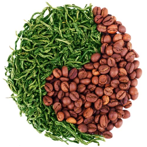 Does Tea Have Caffeine? Facts and Myths
