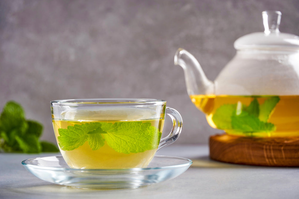 Lemon Balm Tea Benefits – Yum Cha Tea Company