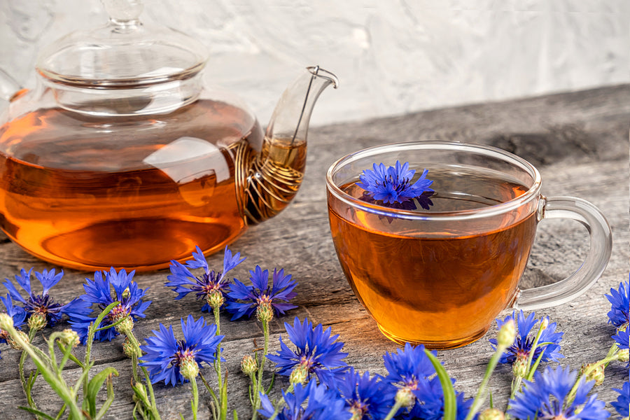 Blue Cornflower Benefits: Nature's Healing and Culinary Delight