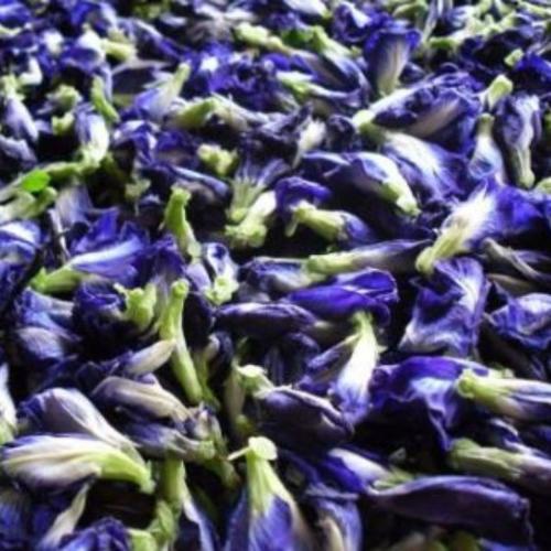 Butterfly Pea Flower| Yum Cha Tea Company