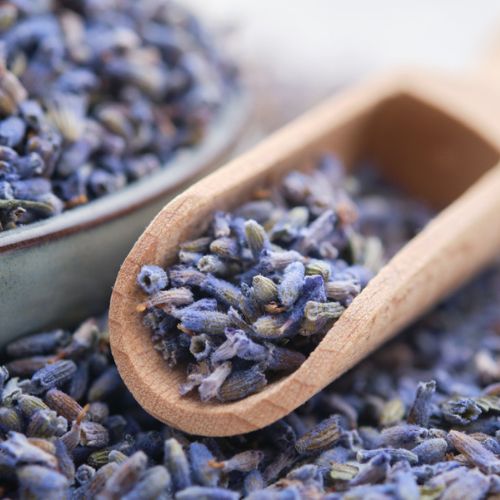 Organic Ultra Blue Lavender | Yum Cha Tea Company