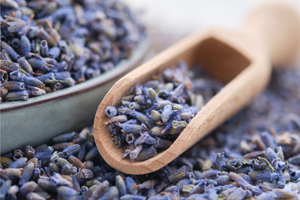 Organic Ultra Blue Lavender